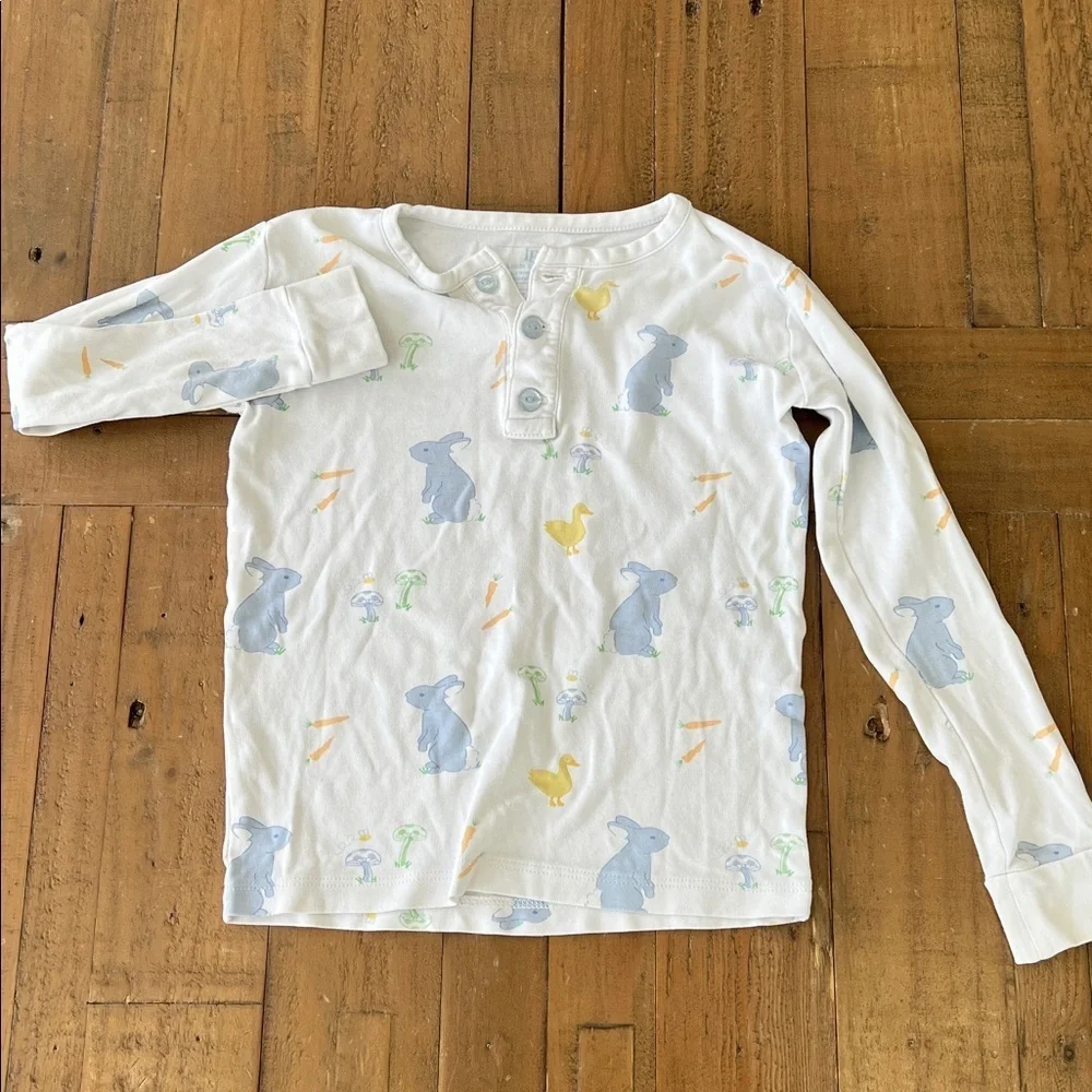 Little English Easter spring animal pajama set kids 6 bunny ducks long sleeve